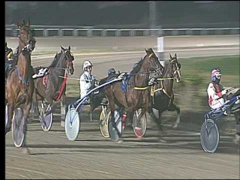 Trotto 17/02/2017 - 9ª corsa