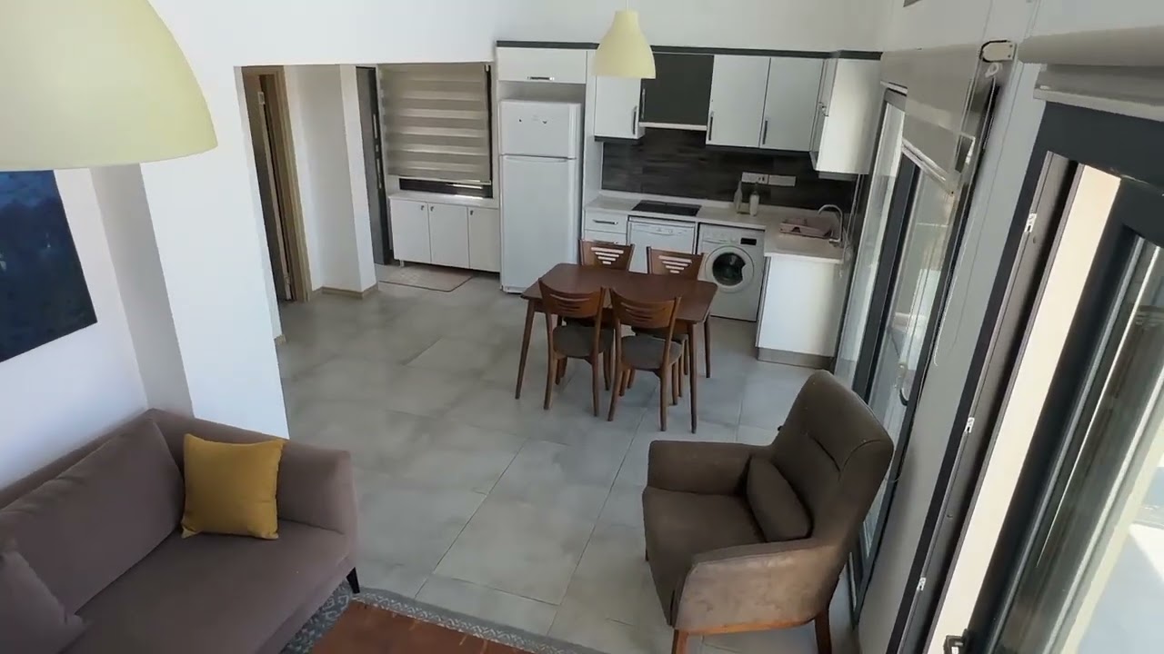 video image