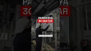 Download lagu Rahasia Perusahaan Di Balik Tolak Angin, Bertahan 100 Tahun #sidomuncul #tolakangin #jamu mp3