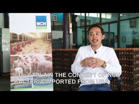 The secret of success of King eggs business is NCH