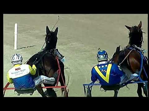 Napoli Trotto 04/03/2022 - 4ª corsa