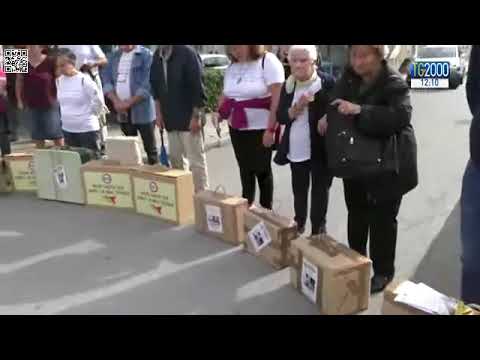 servizio manifestazione TG2000 del 25 ottobre 2019 – Edizione delle 12