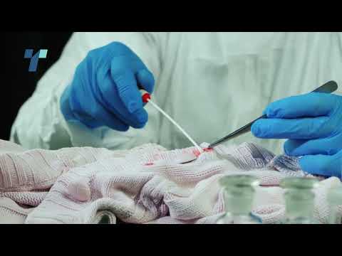 Телма стигна до ТикТок профилот на осомничениот сериски убиец во кумановско