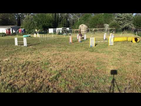 Ziry TEAM Jumpers 50X70 4/02/21 Module 2