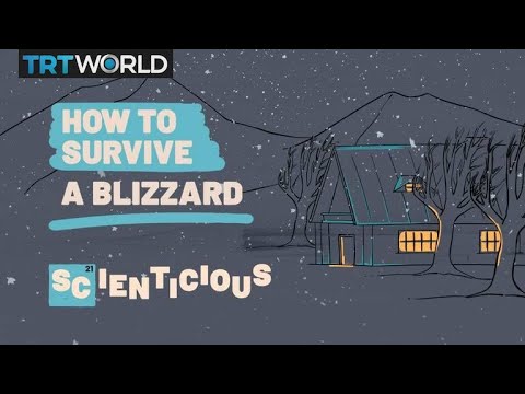 Surviving a blizzard | Scienticious – Episode 2