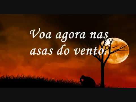 Elias silva livre para voar com (LETRA)