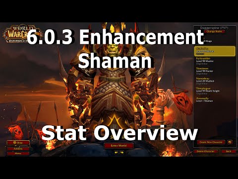 6.0.3 Enhancement Shaman Stat Overview