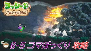 【ヨッシーとフカシギの図鑑】8-5 コマぼっくりの生息地(何か起きてる？) 調査コンプリート【攻略/switch2】