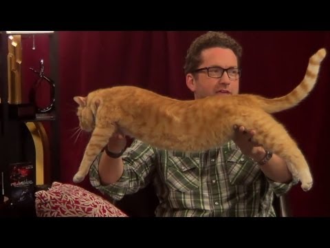 Joe the Cat Compilation - Rooster Teeth