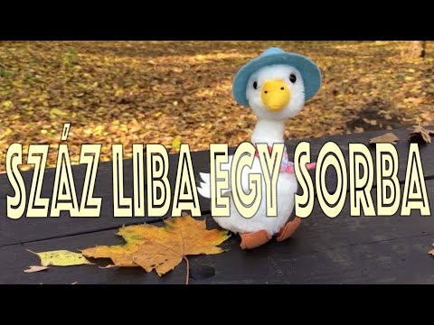 Száz liba egy sorba - gyerekdal, MESEZENEKAR