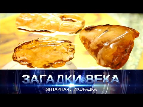 Янтарная лихорадка