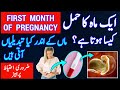First Month of Pregnancy in Urdu/Hindi |Hamal ka pehla mahina |Month by Month Pregnancy series