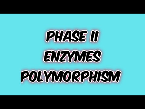 Phase 2 enzymes polymorphism
