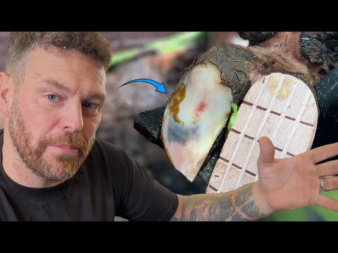 This SPLUTTERS OUT, we TEST each other & trim OVER-GROWN feet