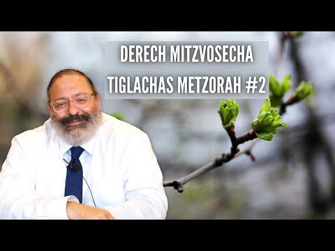 The Conflicting Messages in Judaism About Hair