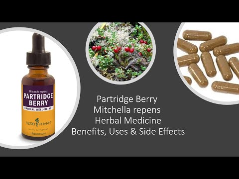 Partridge Berry -  Herbal Medicine - Benefits, Uses & Side Effects