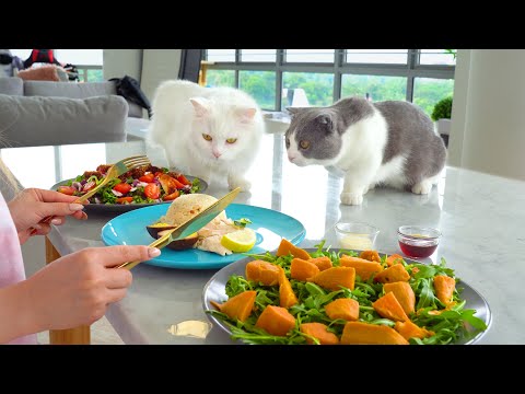 Can Cats Resist Human Food?