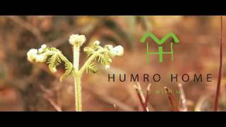 preview picture of video 'Humro Home AhalDara Latpanchar'