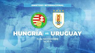 AUF TV transmitir� Hungr�a - Uruguay a trav�s de Vera+ de Antel desde las 14:30 h