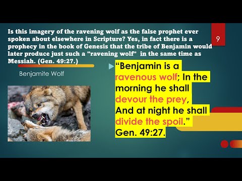 In Gen. 49 Jacob prophesies of Paul as Benjamite Wolf, and Jesus as "Shiloh" Messiah. Coincidence?