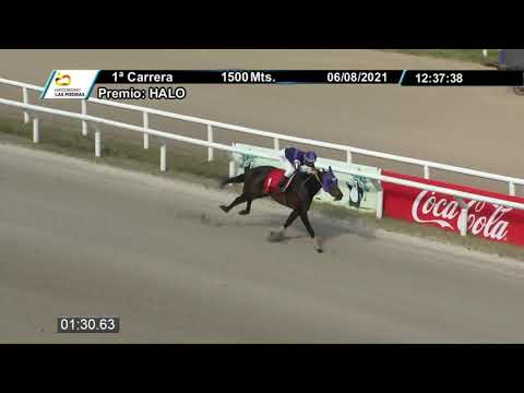 210806 c01 - NAPA VALLEY -  HIPODROMO LAS PIEDRAS