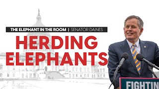 Herding Elephants | Senator Steve Daines