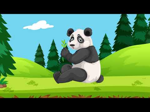 Hayvanları Tanıyalım! (Aslan, Ayı, Tilki ve Dahası) | Çocuklar İçin Eğitici Video