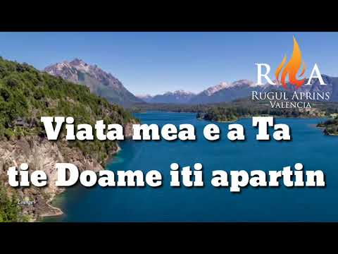 Tu esti Viata - Rugul Aprins Valencia