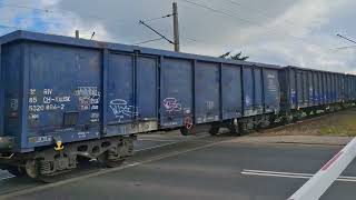 BR232 - 037 - 2 Ludmiła Kolpremu z weglarkami na Zduny 07.09.2025 4K