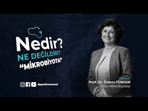 Mikrobiyatının dengesinin bozulması bağırsak problemleri ile mi başlıyor?