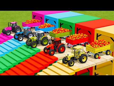 FORD vs CLAAS vs FIAT vs JOHN DERRE vs CASE TRACTORS BATTLE WITH ORANGES - Farming Simulator 22