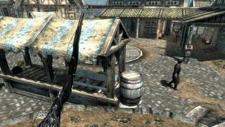 ( Skyrim ) FPS Increaser / Performance Mod