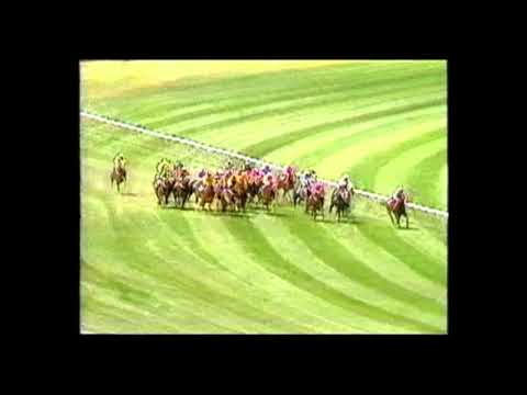 1990 Gadsden Stakes - Planet Ruler