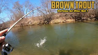 The BEST BAIT for Catching Stocked BROWN TROUT (Instant & nonstop action!)