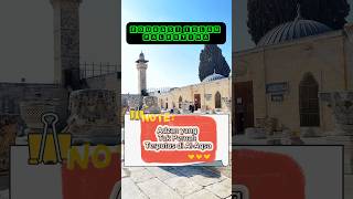 Download lagu Adzan yang tak pernah terputus di Al Aqsa #AlAqsa #Murabithun #JejakRasul #Palestina #edukasiislam mp3