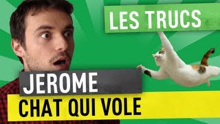 Cliquez pour afficher la vidéo