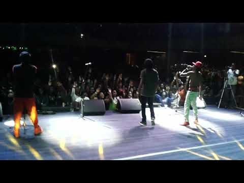 Xtra Large Maroja - Komborerai (Visualiser)