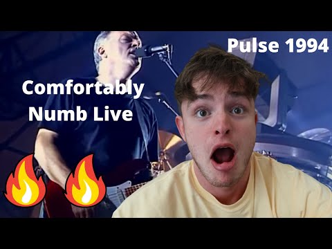 Teen Reacts To Pink Floyd - Comfortably Numb Live Pulse Concert 1994!!!