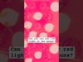 Can you use any red light therapy tower in the infrared sauna? #redlighttherapy #functionalmedicine