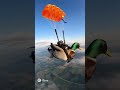 A Duck Skydiving