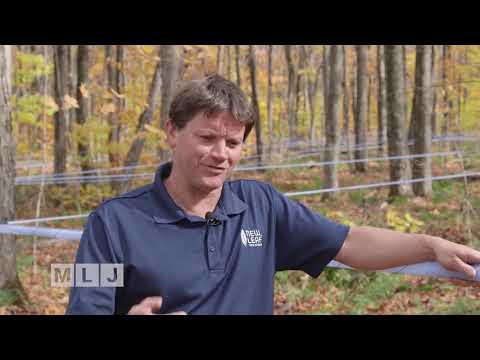Forest Farmers CEO Mike Farrell | MLJ Interview - YouTube
