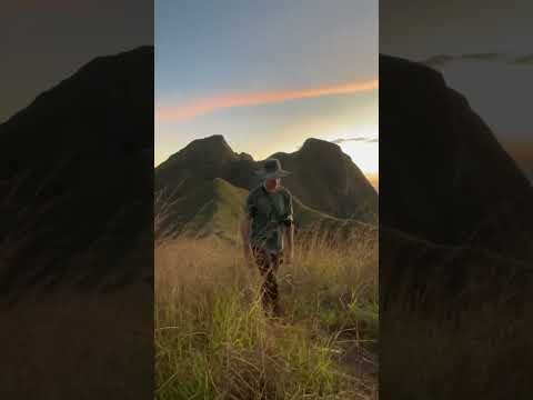 Amanecer en PICACHOS de OLÁ 🇵🇦 | #panama #panamá #ola #cocle