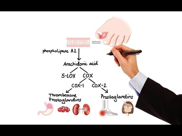 Video Pronunciation of ketoprofen in English Video Pronunciation of ketoprofen in English