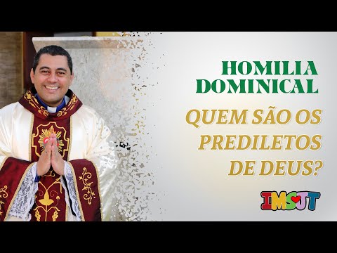 Homilia Dominical - 26º Domingo do Tempo Comum | IMSJT