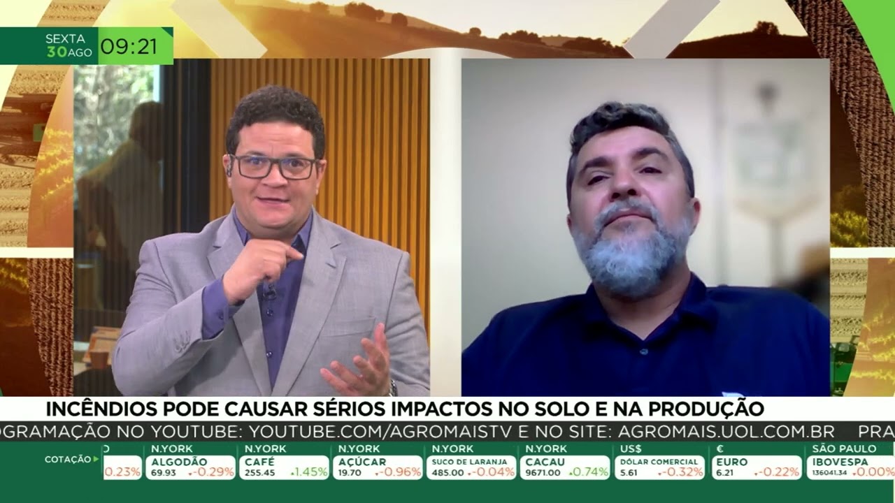 Incêndios pode causar sérios impactos no solo e na produção