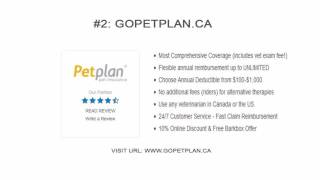 Best Top 5 pet insurance in Canada