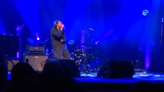 Martha Wainwright - 'Chelsea Hotel #2' (Leonard Cohen cover) - 02-02-2017.