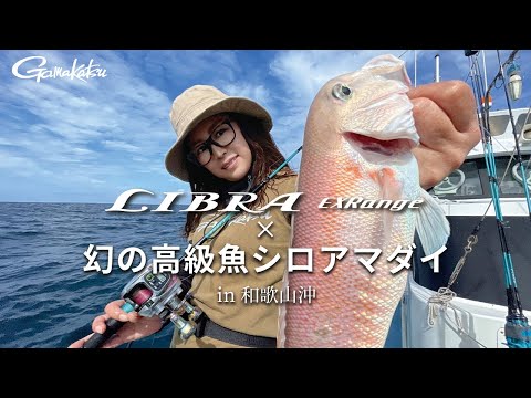 幻の高級魚『シロアマダイ』の釣り方🎣【ライブラエクスレンジ in 和歌山沖】