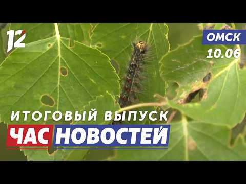 Шелкопряд / Театральный поезд / Коробка храбрости. Новости Омска