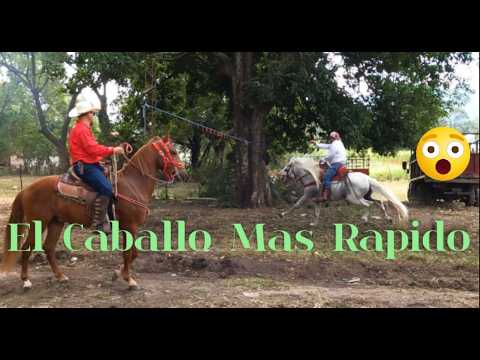 Carreras de Cintas Citala Chalatenango 2025  2